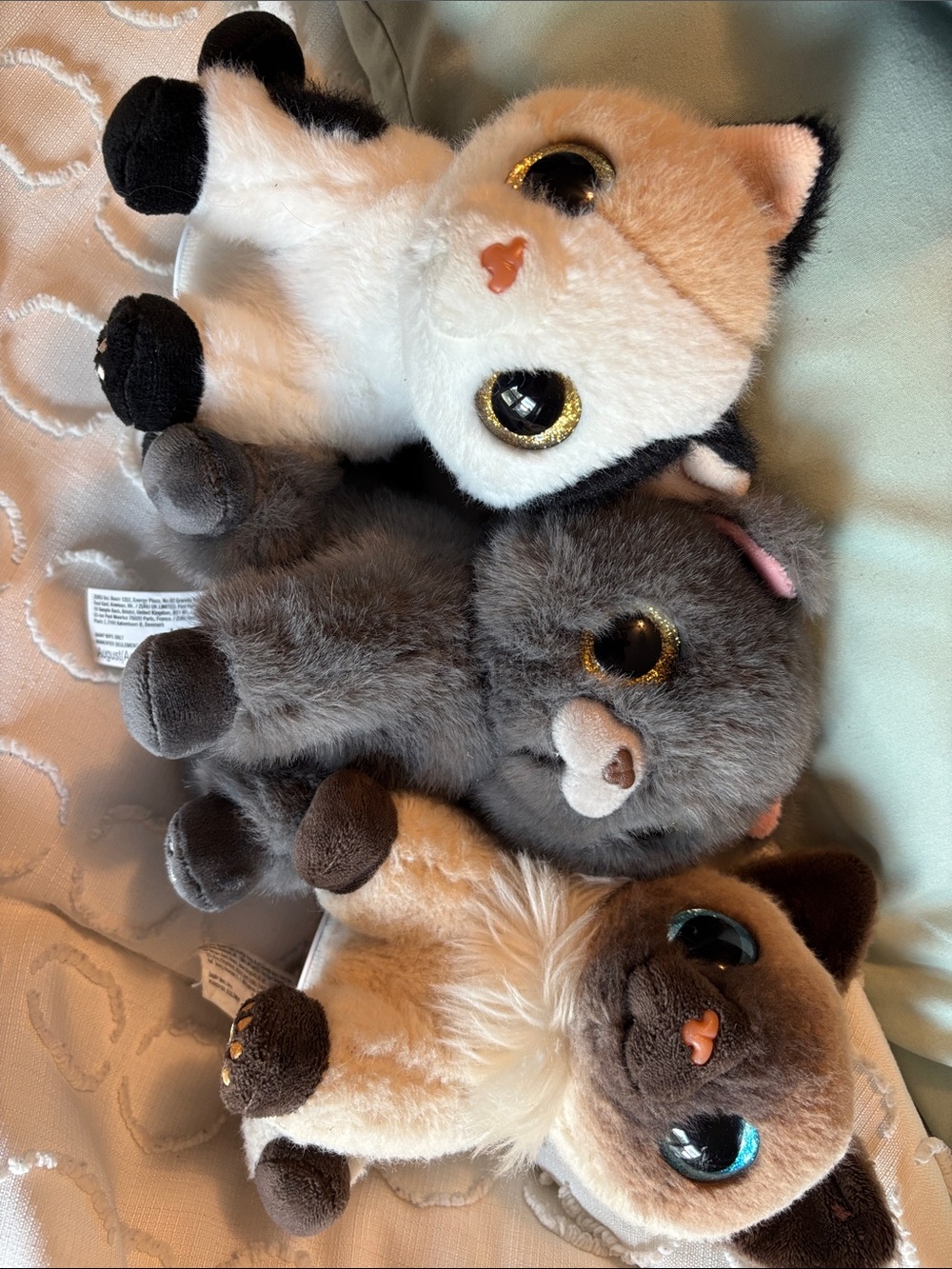 Plush Cat Stuffed Animal - Assorted Colors